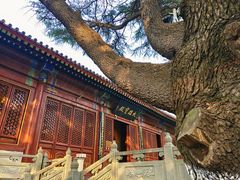 -湛山寺