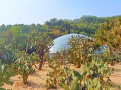 -深圳仙湖植物园