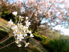 -合利屋(中发百旺商城店)