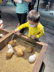 -酷嗒动物文化乐园(cutezoo西溪乐天城店)