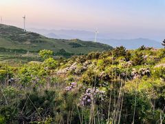 -东白山