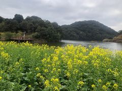 -广州市石门国家森林公园