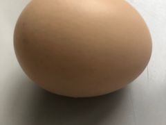 茶叶蛋-刘长兴(逸仙桥店)