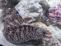 -香港海洋公园