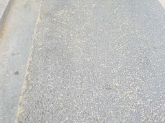 -老地方面馆(思南路店)