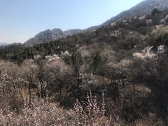 -阳台山自然风景区