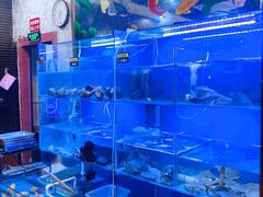 水产区-金龙·打边炉(武进路店)