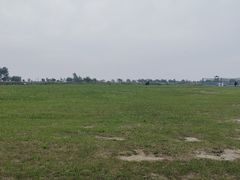 -盐城丹顶鹤湿地生态旅游区
