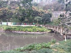-盘溪河公园