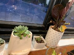 -如禾素食·下午茶·糖水