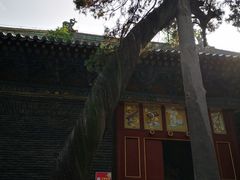 -关林