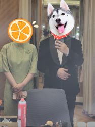 -金夫人婚纱摄影(总店)