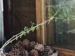 -MOJ coffee(瓯海泽雅水碓坑店)