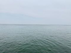 -乌梁素海景区