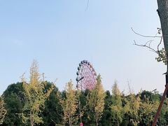 -南湖梦幻岛
