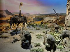 -国家自然博物馆