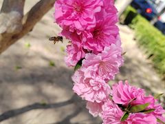 -皇城根遗址公园-东安门遗址