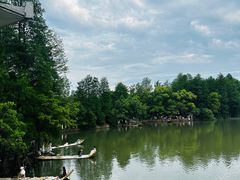 -东湖落雁景区