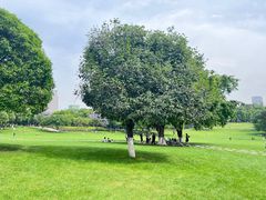 -重庆中央公园(渝北区)