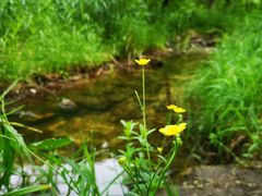 -碓臼峪自然风景区