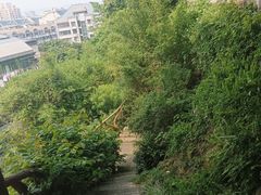 -乌山风景区