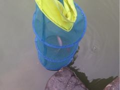 upload_pic-南昌之星游乐场