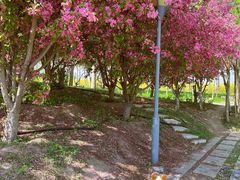 -天津东丽湖风景区