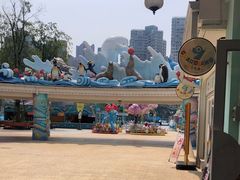 -海合安成都极地海洋公园