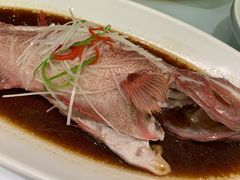 -蝶园·装修中(BFC外滩金融中心店)