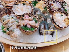 -海鲨湾海鲜会馆(百家湖1912店)
