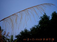 -祁门牯牛降观音堂风景区