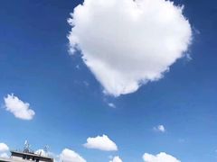 -新东方学习规划(南二环第一校区)