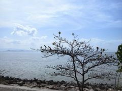 -深圳湾公园(南山区)