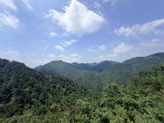 -四明山国家森林公园