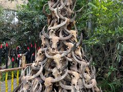 -呀路古热带植物园