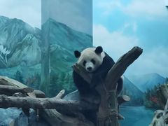 -武汉动物园