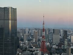 -六本木新城展望台(东京城市景观)