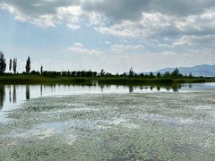 -野鸭湖国家湿地公园