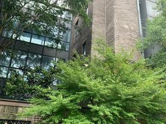 -也枫·小黄楼(南山路旗舰店)