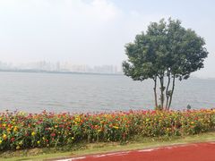 -艾溪湖湿地公园