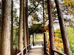 -东湖落雁景区