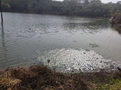 -盘龙城国家考古遗址公园