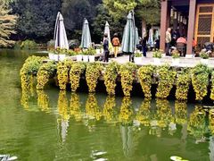 -杭州植物园