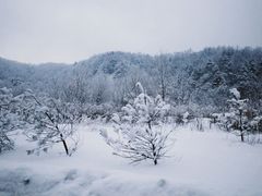 -鳌山滑雪度假区