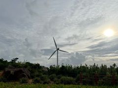 -东澳岛