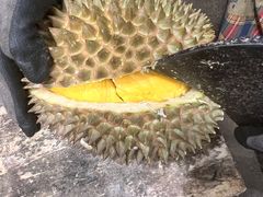 -油麻地果栏