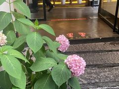 -无名小酒馆·湖北私房菜(昙华林店)