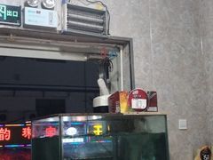 -煲来饱去冷水鱼