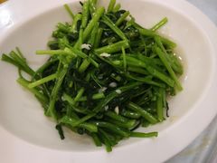 -新名仕新白玉兰餐厅