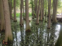 -东湖落雁景区